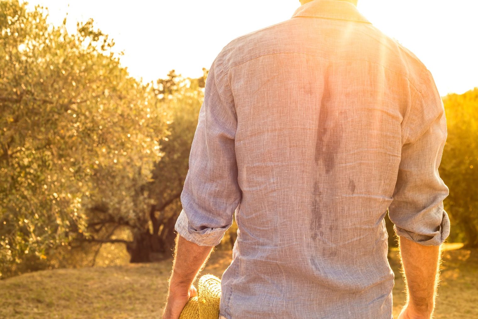 Unveiling the Price Tag: The Real Reasons Behind the Cost of Extra Virgin Olive Oil