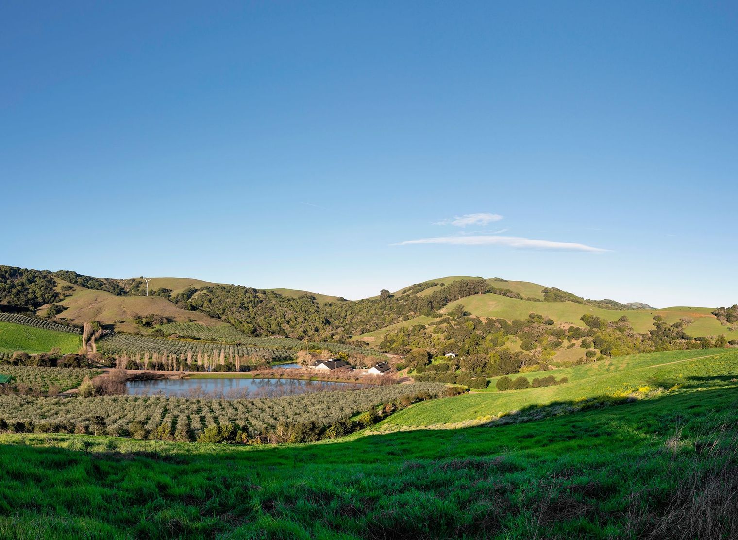 McEvoy Ranch: Olive Oil in Harmony with Nature