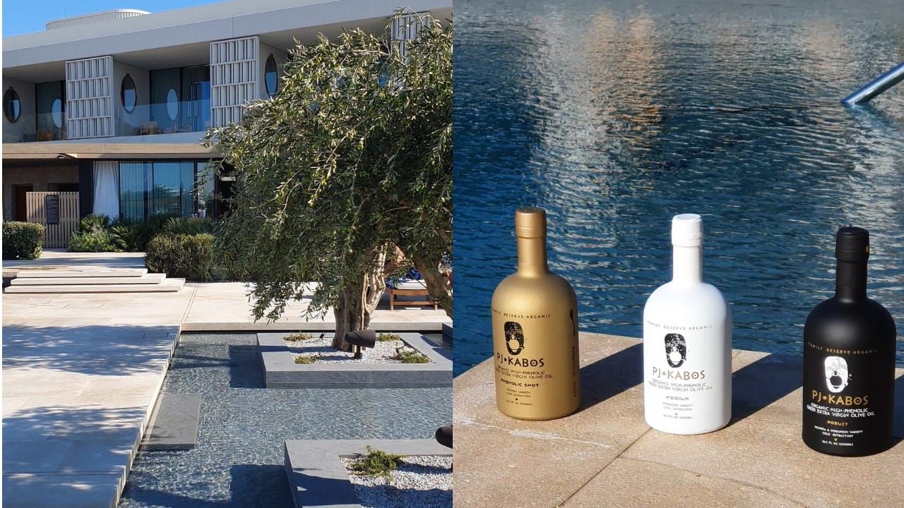 Olive Oil Tasting at One&Only Aesthesis with PJ Kabos—an evening of aromas, laughter, and high-phenolic oils