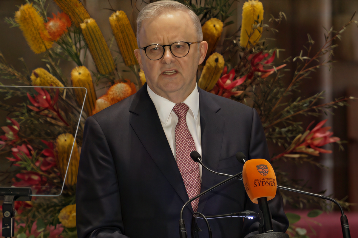 Albanese says training AI on Australian art without permission is theft. He didn't announce a law against it.