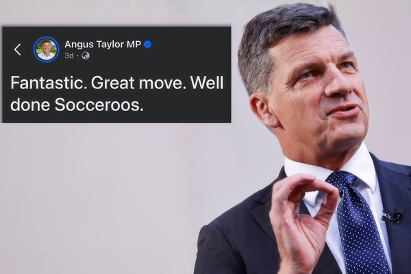 The Victorian Liberals have finally figured out the internet — and Canberra is taking note