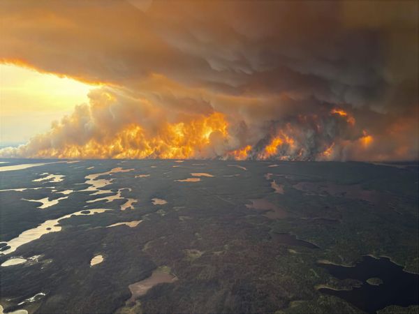 Trump demands Canada pay for smoke as its forests burn