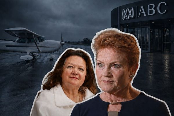 One Nation wants the ABC stripped of $1.2 billion over a skit about Gina Rinehart. Her money bought the party its plane, and about 20 flights before that.
