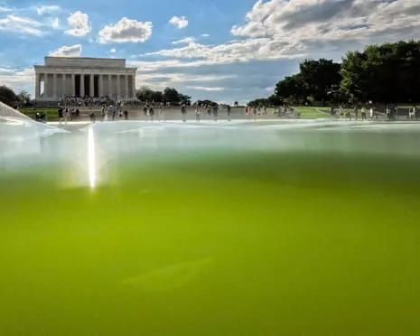 The Tyrant and the Reflecting Pool