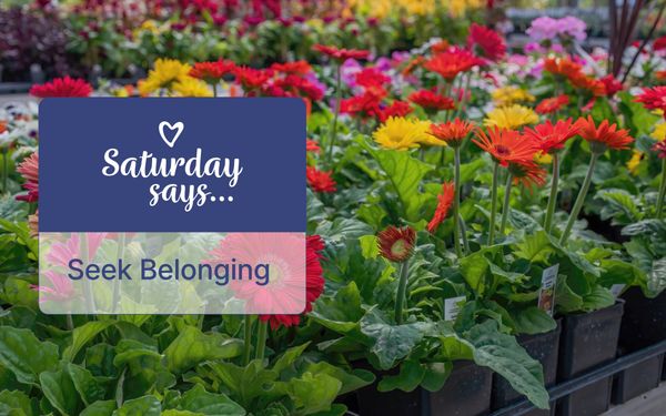 Seek Belonging