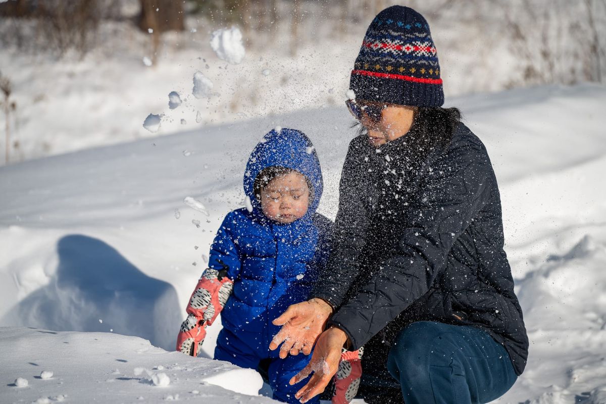 The Northern Expedition