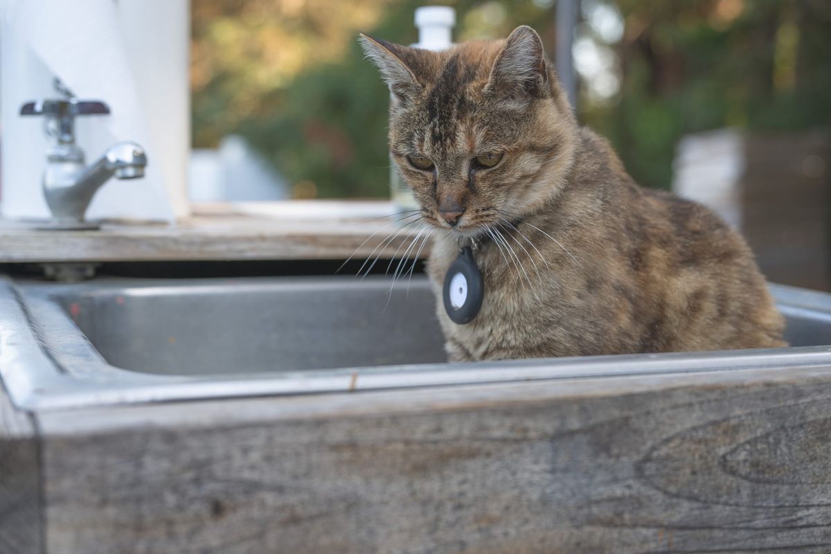 Sonoma County Farm Trails