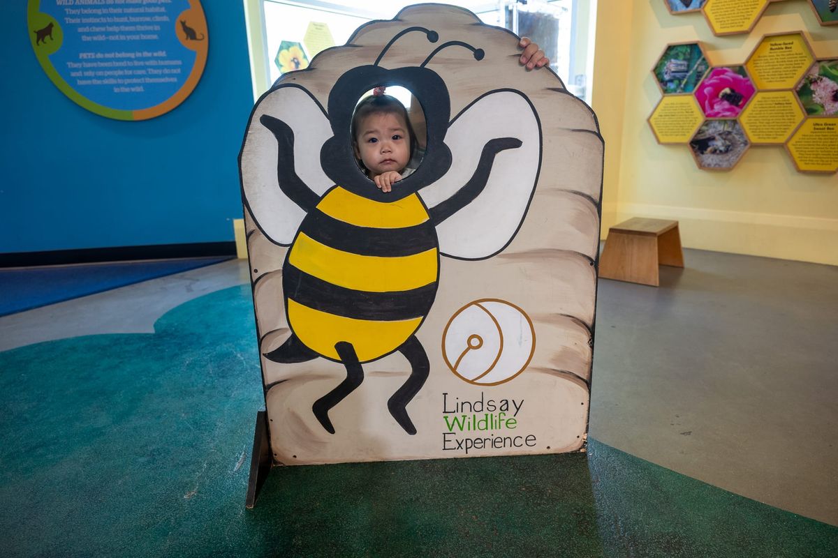 A Review of the Lindsay Wildlife Experience