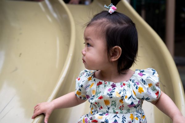 A Review of Joaquin Miller Park