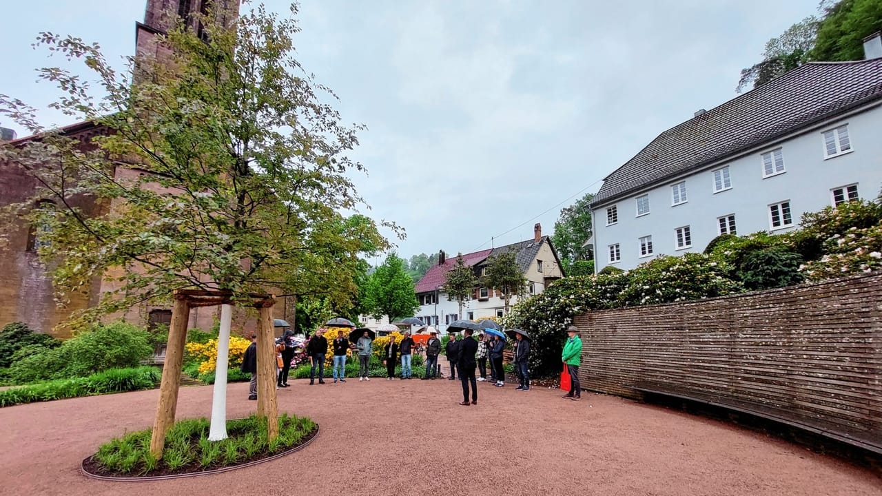 sonnensegel 50+ HDPE Grau Rechteckig 180 g/m² – Wetterbeständig & reißfest – UV-Schutz colours:Grey youtube:vwD8MQPrwCY Bergamont E-Horizon N8 CB