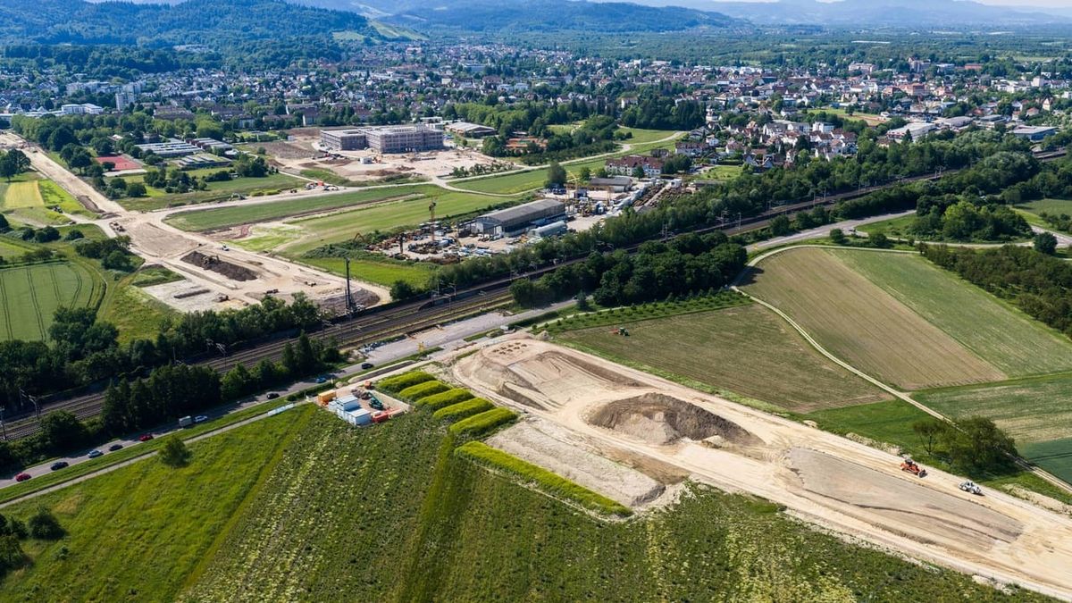 Achern: So soll die Natur entlang der Nordtangente geschützt werden