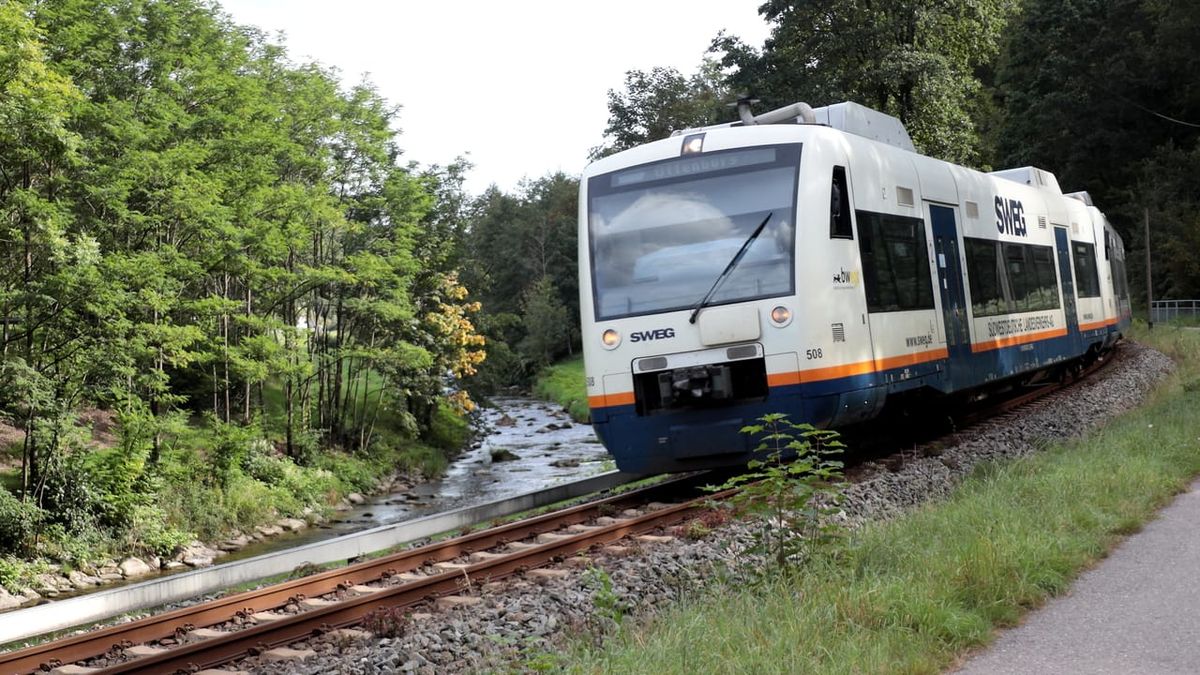 Renchtalbahn: Rail replacement service during the summer holidays