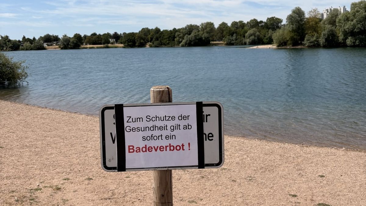 Algenblüte – Stadt Offenburg spricht Badeverbot aus