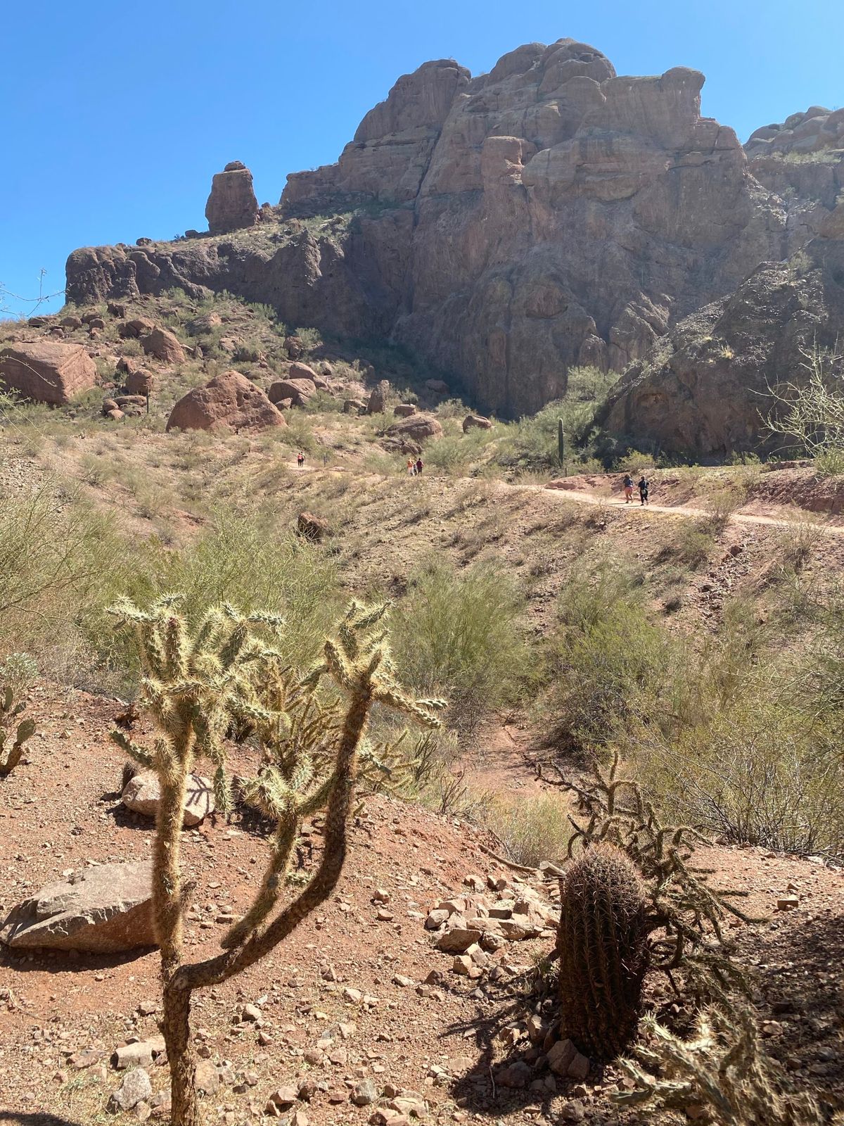 Looking for a trail in Arizona this summer? Visit Camelback Mountain in Phoenix!