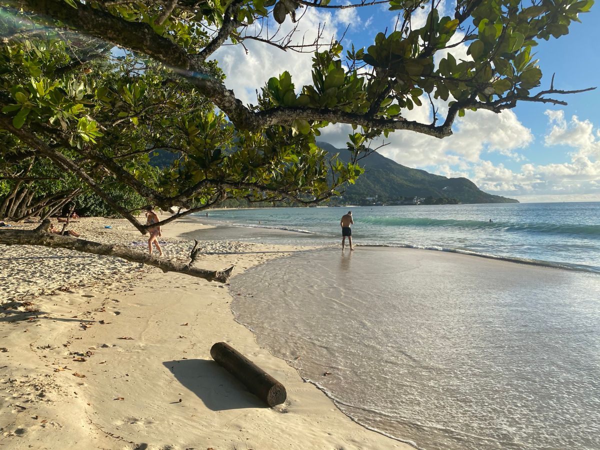 I travelled 28 hours to get to Seychelles and this is what happened