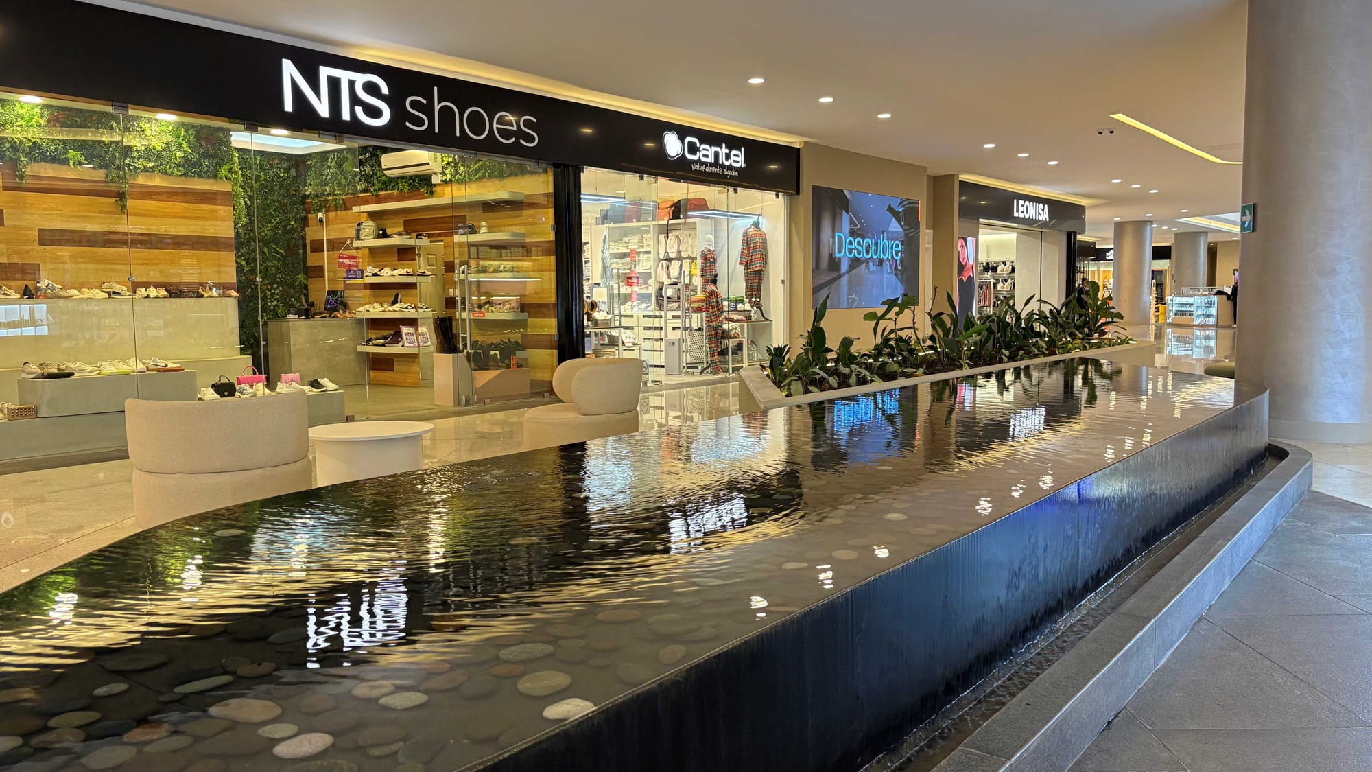 La energía solar impulsa el compromiso ambiental de Vidēre