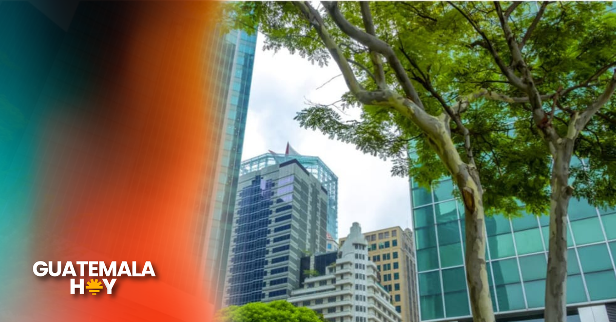 Walmart, Agencias J.I. Cohen y Cementos Progreso entre las empresas guatemaltecas de mayor crecimiento en los últimos cinco años