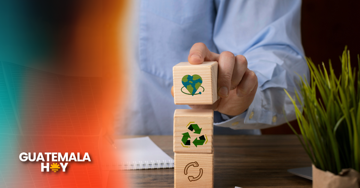 Sostenibilidad institucional: entre la narrativa y las acciones reales