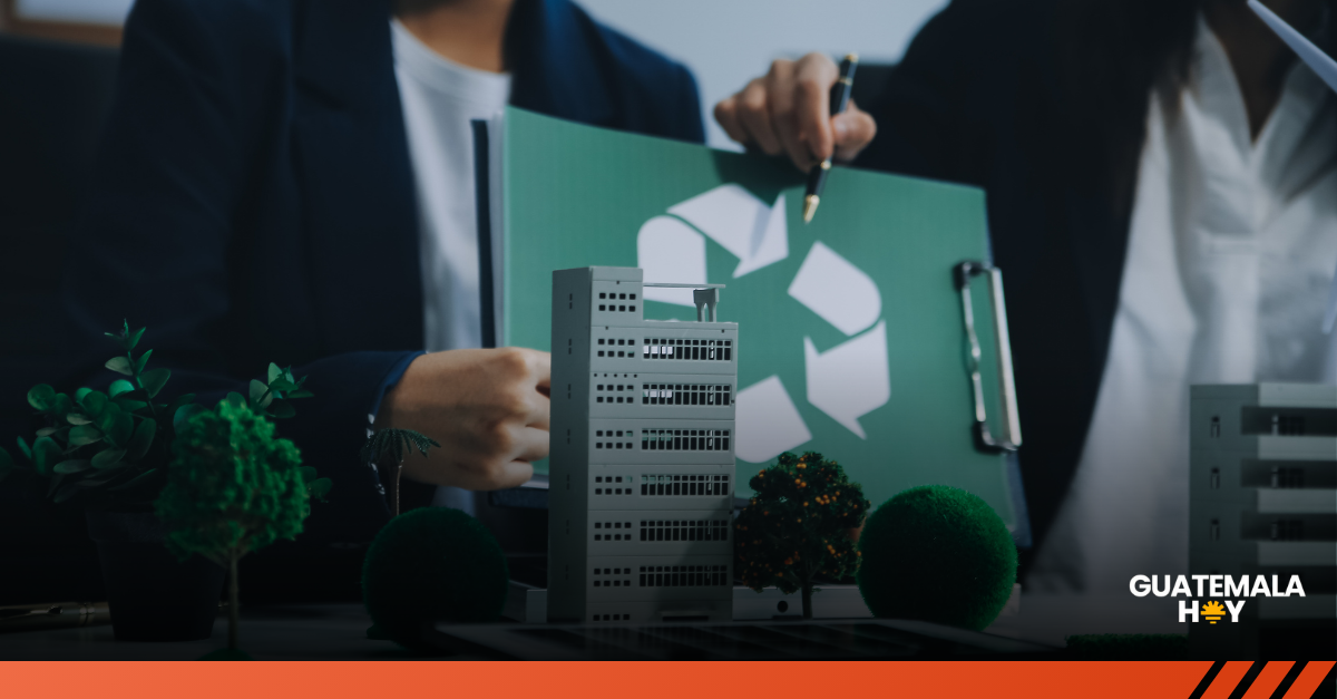 3 empresas guatemaltecas que lideran la transformación ambiental