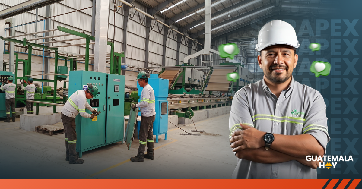 SCRAPEX e Infitex: el desmontaje industrial que combinó eficiencia, seguridad y reciclaje responsable