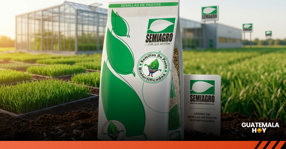 28 años impulsando el agro guatemalteco: la historia de Semiagro