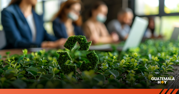Sostenibilidad empresarial: un impulso al crecimiento de Guatemala