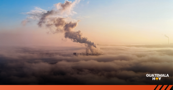 Empresas en Centroamérica que ya miden su huella de carbono