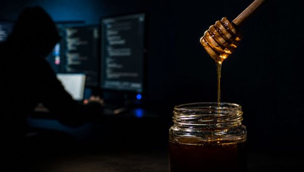 How a Counter-MEV Honeypot Drained JaredfromSubway.eth for $7.5 Million