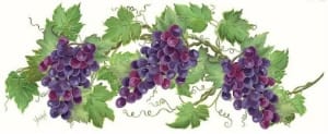 images_grapevines1.jpg