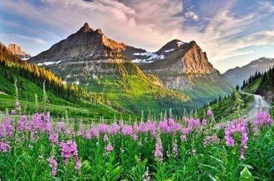 Prayer: Canticle of Brother Sun and Sister Moon by St. Francis of Assisi