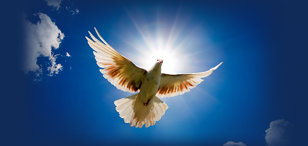 Prayer: Come Holy Spirit and abide in me