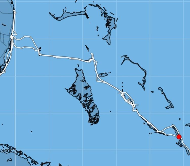 Happy cruise-iversary!