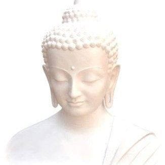  TEA AND ZEN - MEDITATION SANS FRONTIERES