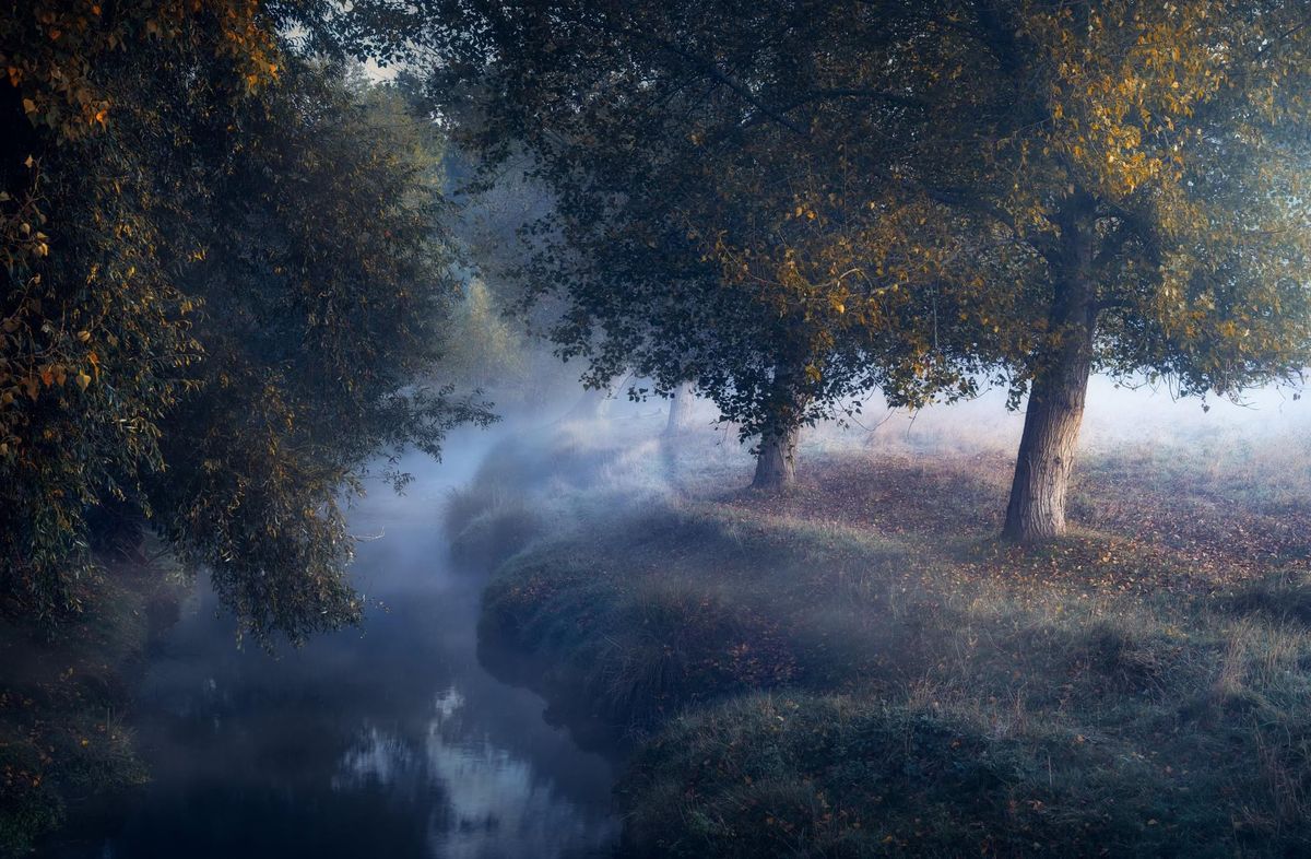 ONE LOVE, ONE HEART, ONE PEACE