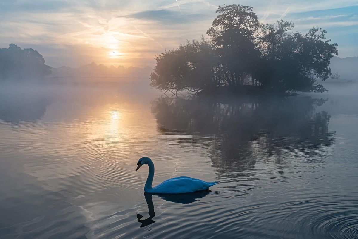 HUMILITY AND SURRENDER