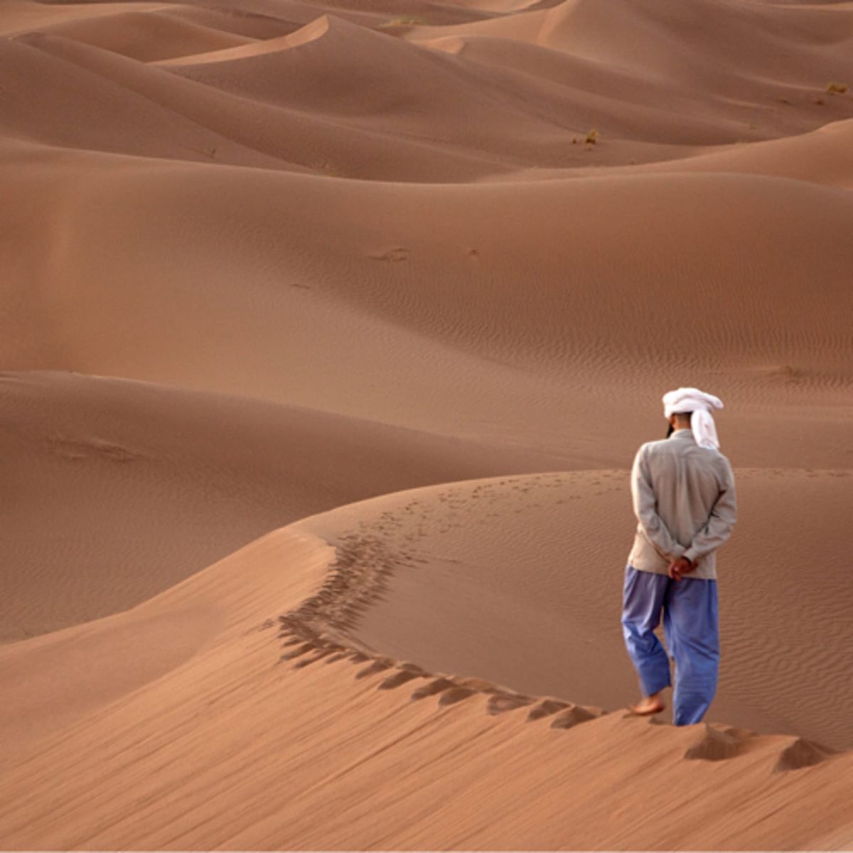 Aspects of Communication