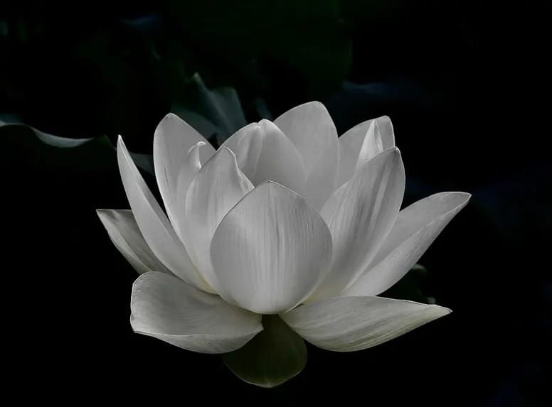 ALL LOVE IS WITHIN YOU