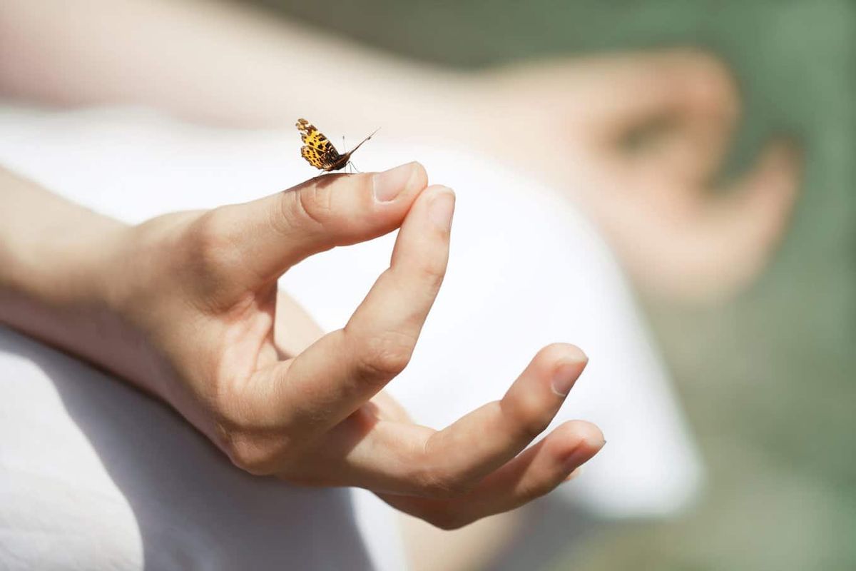 The Evening Contemplation