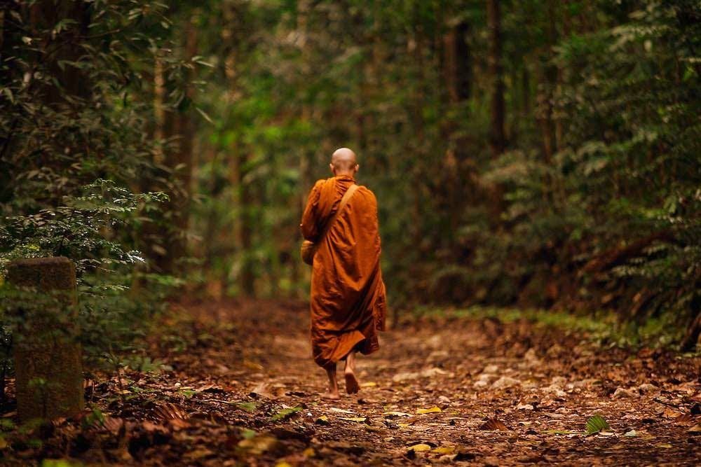 THE RIPPLE EFFECT XLIV