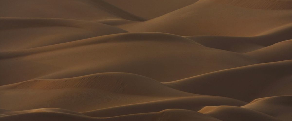 A MOMENT OF HAPPINESS