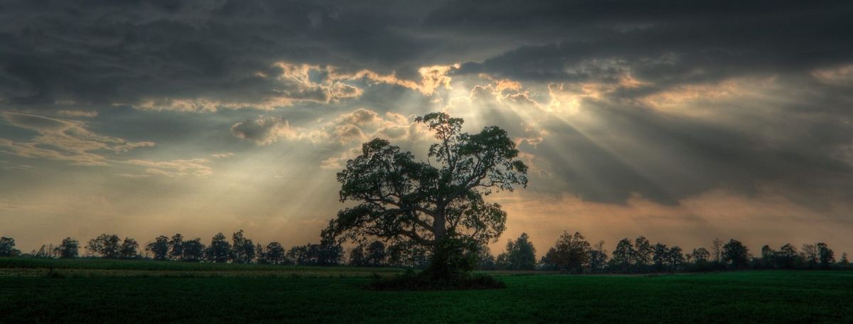 THE SPIRIT OF THE SAINTS