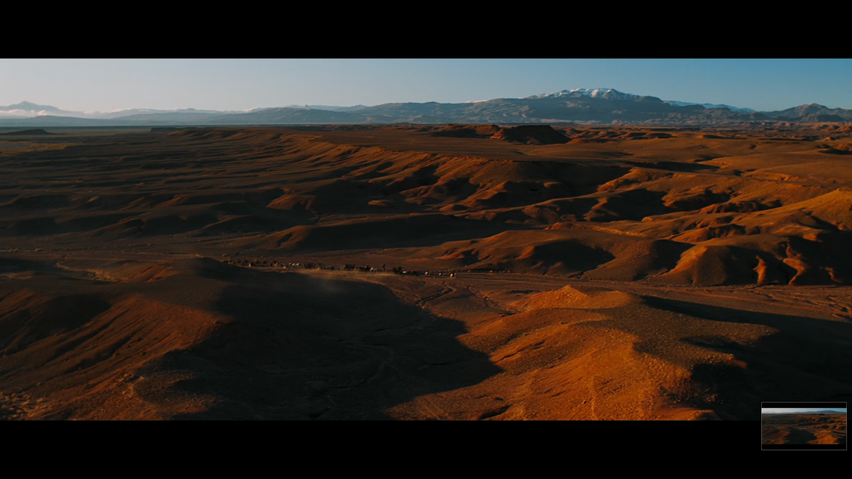 The Interwoven Dynamics of Mind and Heart......A Collective Journey.