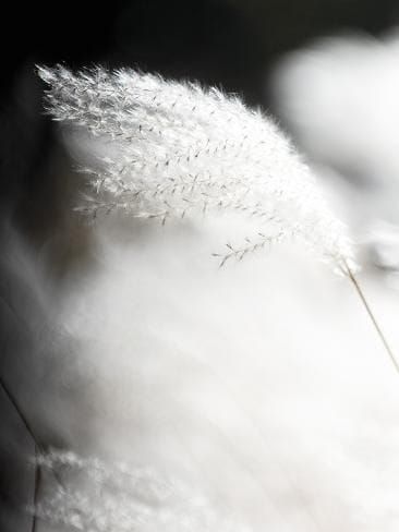 EMBRACING THE UNKNOWN