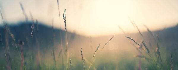 THE PRIMAL NEED FOR NURTURE