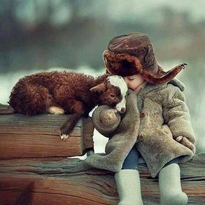 Love as the Foundational Force of Creation