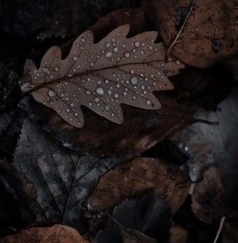 I THINK I JUST WANT TO BE SAD TODAY