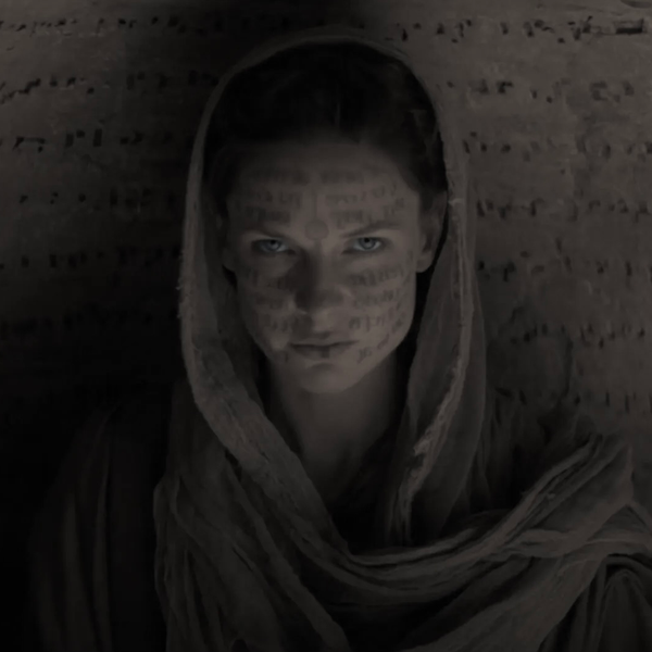 Morning Poem by Mary Oliver