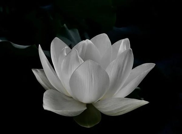 ALL LOVE IS WITHIN YOU