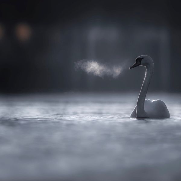 IN REMEMBERING THE INFINITE POSSIBILITIES