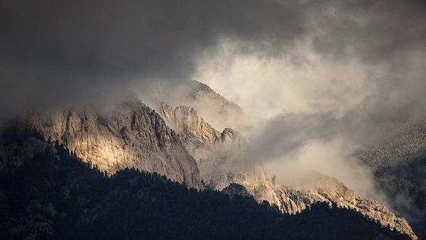 INSIGHTS AND PARABLES